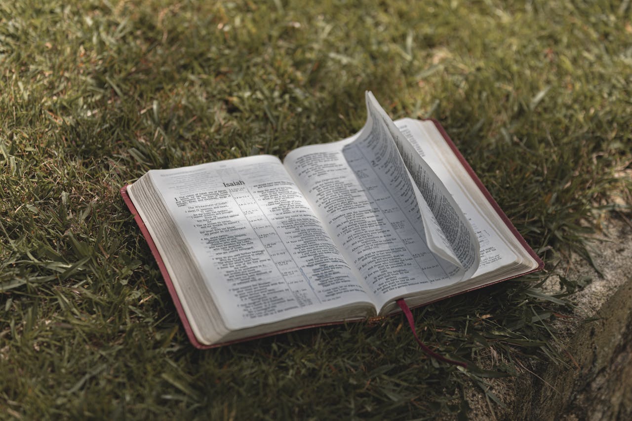 Mastering the First Impression: Your intriguing post title goes here Open Bible resting on grass, capturing a serene and contemplative moment outdoors.