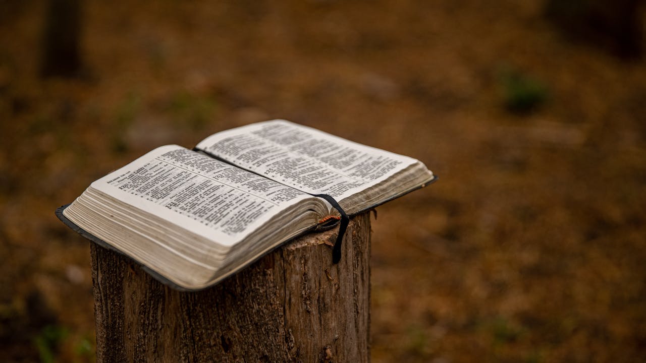 Crafting Captivating Headlines: Your awesome post title goes here Open Bible placed on a tree stump outdoors, symbolizing faith in nature.